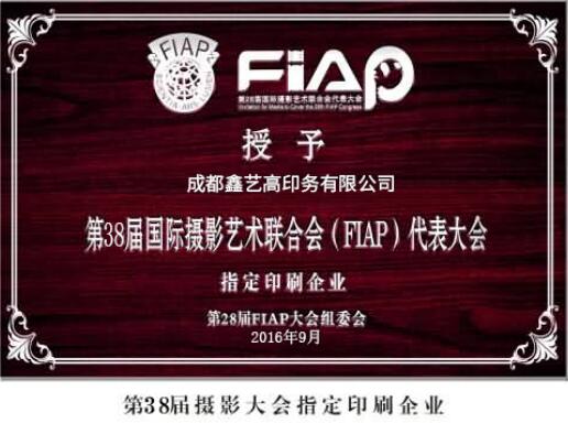摄影大会指定免费看片的黄色网站